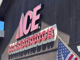 Felton’s new Ace Hardware to bring jobs and support for residents Ace Hardware