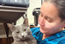 Boulder Creek feline rescue organization continues life-saving mission Kitten Kornher Rescue
