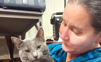 Kitten Kornher Rescue