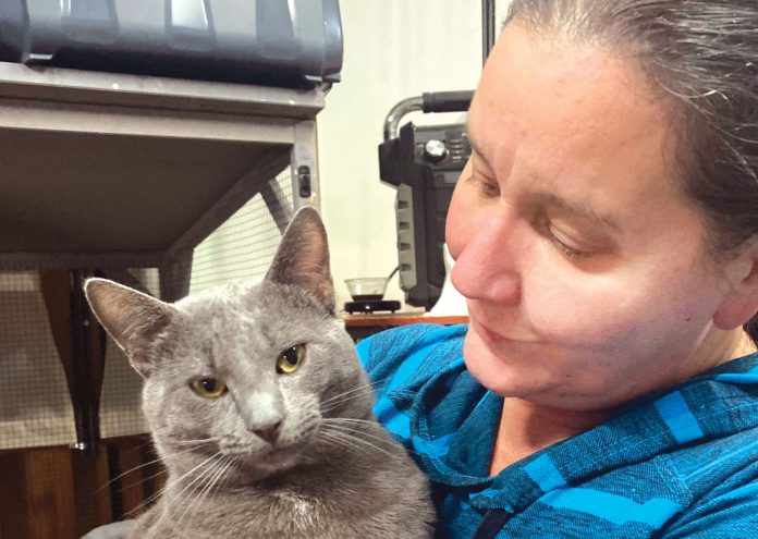 Kitten Kornher Rescue