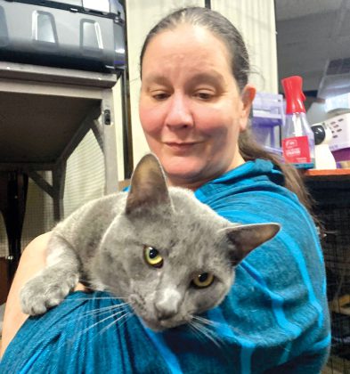 Kitten Kornher Rescue