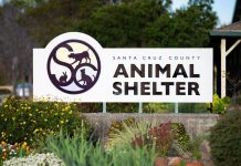 Santa Cruz County Animal Shelter schedules low-cost spay/neuter clinic in February Santa Cruz County Animal Shelter