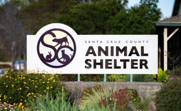 Santa Cruz County Animal Shelter