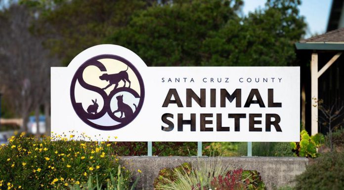 Santa Cruz County Animal Shelter schedules low-cost spay/neuter clinic in February Santa Cruz County Animal Shelter