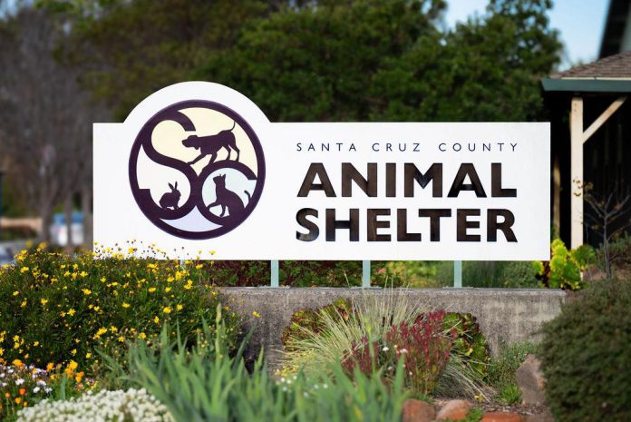 Santa Cruz County Animal Shelter