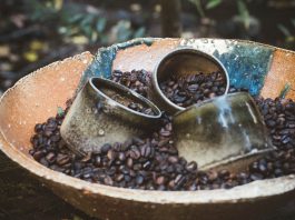 Gold Dot Roasting blends coffee and craft in Boulder Creek Gold Dot Roasting
