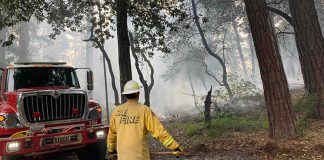 Despite high temps and pile-burning setbacks, fire officials aren’t worrying just yet Cal Fire firefighter looks at pile burn area