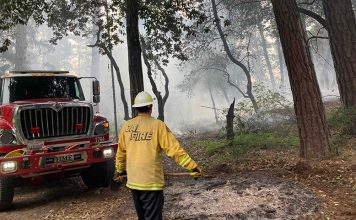 Despite high temps and pile-burning setbacks, fire officials aren’t worrying just yet Cal Fire firefighter looks at pile burn area