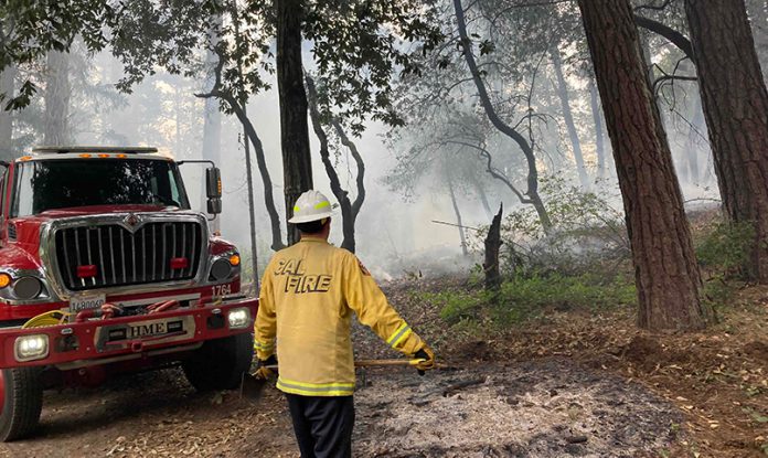 Cal Fire firefighter looks at pile burn area