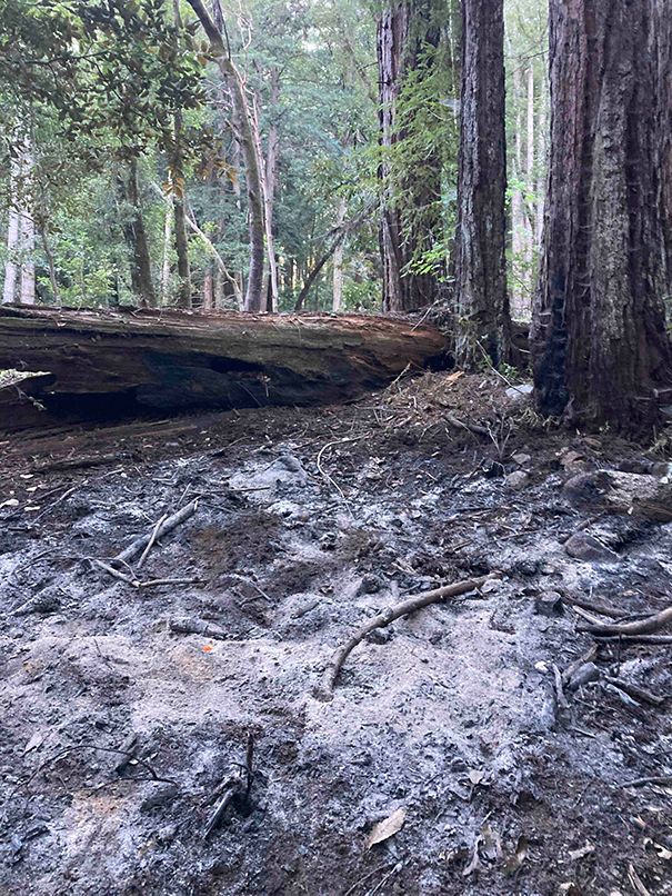 Fall Creek burn pile