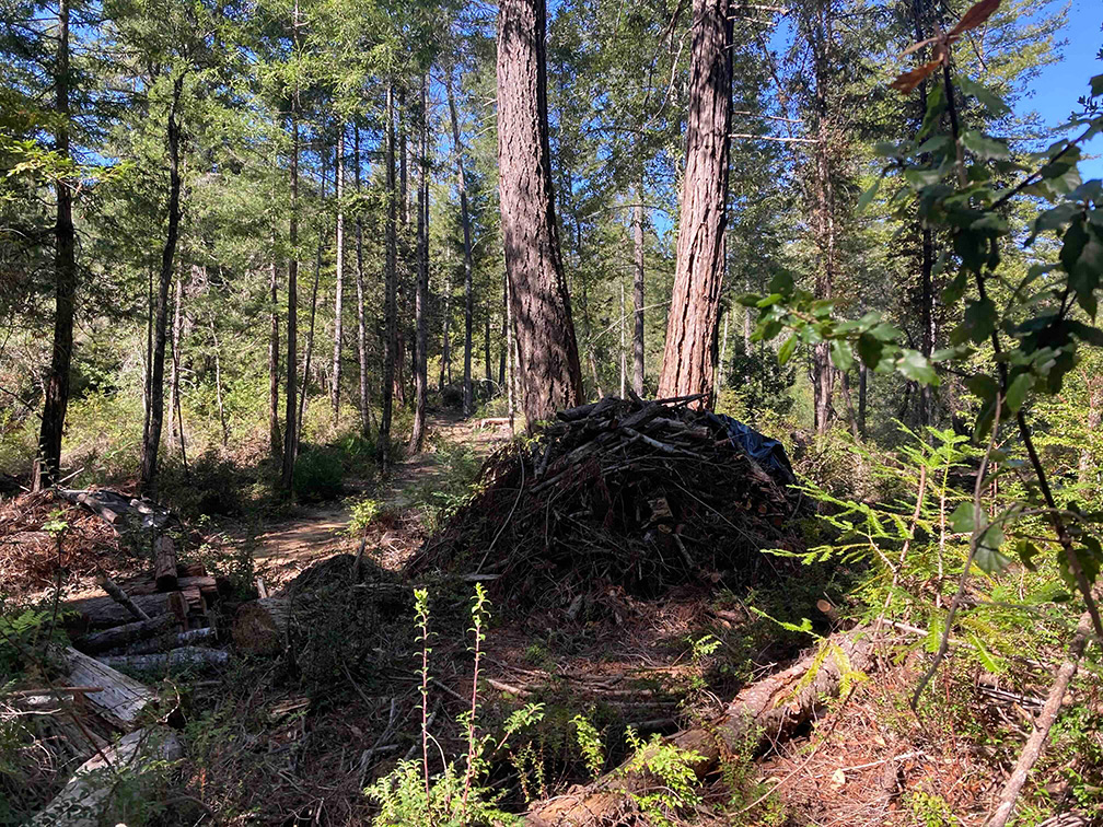 Fall Creek preburn piles
