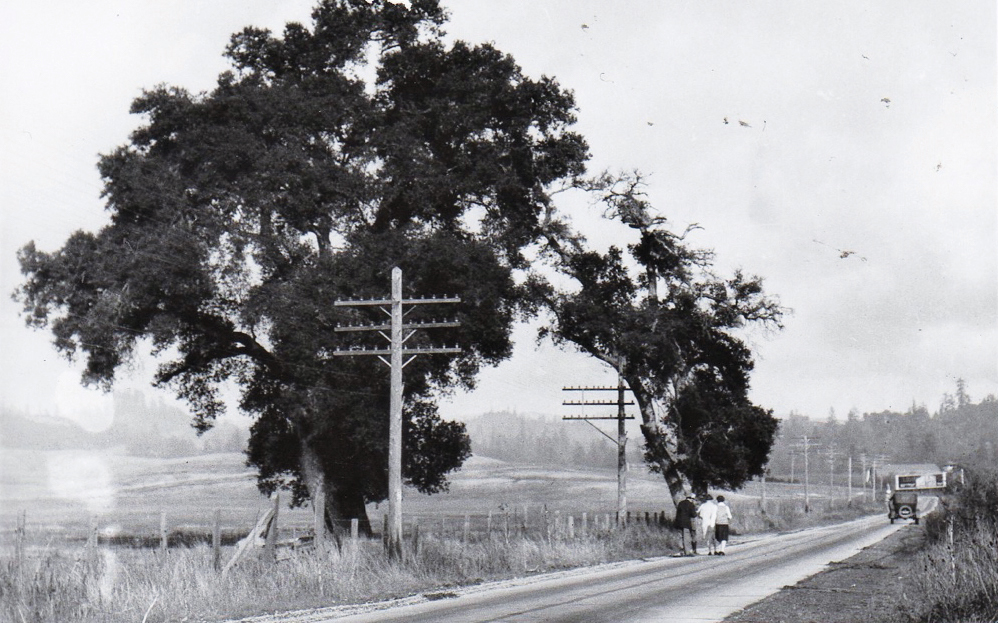 Glenwood Highway