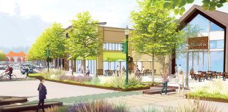 Major Scotts Valley win for Swenson Builders tempered by death of Oliver Tree Tower Point on Park Street
