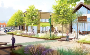 Major Scotts Valley win for Swenson Builders tempered by death of Oliver Tree Tower Point on Park Street