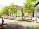 Major Scotts Valley win for Swenson Builders tempered by death of Oliver Tree Tower Point on Park Street