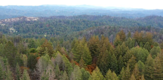 Big Basin gains 153 acres in first expansion in 15 years NoraBella property