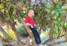 The Mountain Gardener | Celebrate Earth Day 2026 Grace in tree