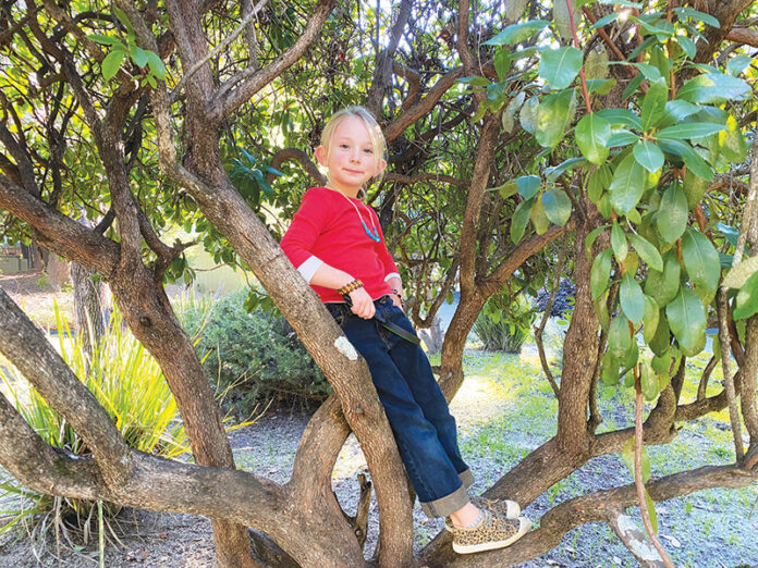 Grace in tree