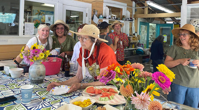 Santa Cruz Mountains Art Center fights to stay affordable for community Santa Cruz Mountains Art Center volunteers