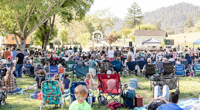 SLV music, art festival returns for its 5th year in Felton SLV Music and Art Festival