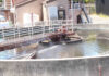 Scotts Valley’s Capital Improvement Plan comes into focus Scotts Valley Water Reclamation Facility