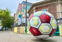 Summer of soccer kicks off in Santa Cruz County Soccer ball art