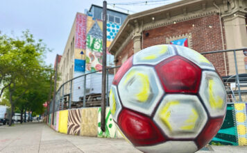 Summer of soccer kicks off in Santa Cruz County Soccer ball art