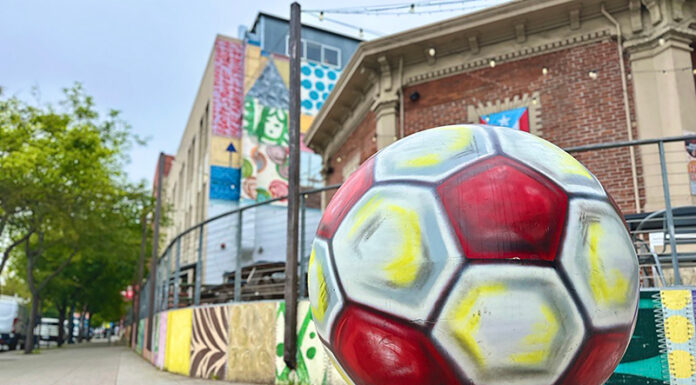 Summer of soccer kicks off in Santa Cruz County Soccer ball art