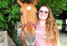 Horse Sense volunteers excel in role at 15th Redwood Mountain Faire Horse Sense