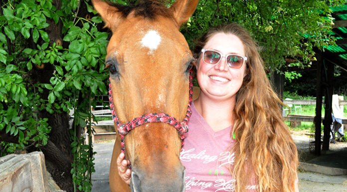 Horse Sense volunteers excel in role at 15th Redwood Mountain Faire Horse Sense