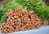 Scotts Valley Farmers Market relocating to Graham Plaza on June 27 Farmers Market