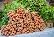 Scotts Valley Farmers Market relocating to Graham Plaza on June 27 Farmers Market