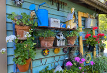 The Mountain Gardener | A Day in an Enchanted Garden Garden shed decor