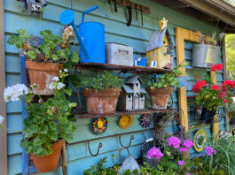 The Mountain Gardener | A Day in an Enchanted Garden Garden shed decor