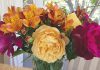 The Mountain Gardener | Great Flowers for Year-Round Bouquets Flower bouquet