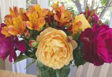 The Mountain Gardener | Great Flowers for Year-Round Bouquets Flower bouquet