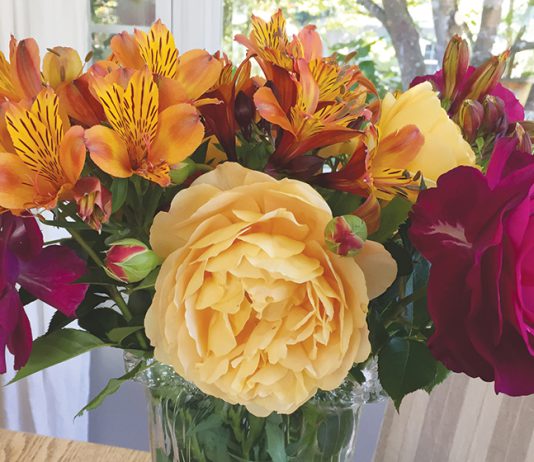 The Mountain Gardener | Great Flowers for Year-Round Bouquets Flower bouquet