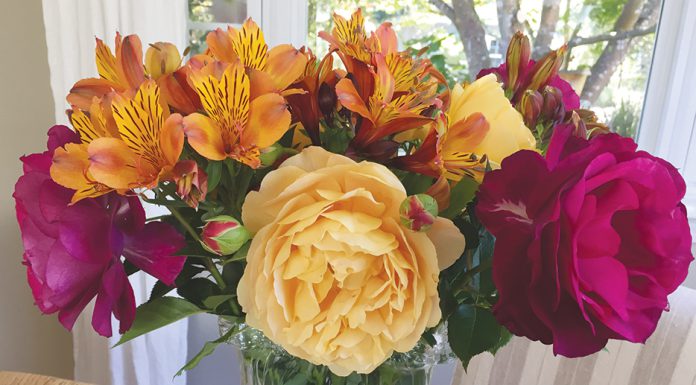 The Mountain Gardener | Great Flowers for Year-Round Bouquets Flower bouquet