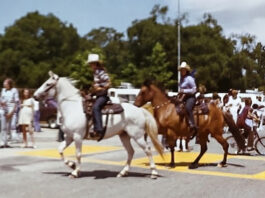 Mayor’s Message | Scotts Valley Celebrates Our 60th Birthday! Horses in parade