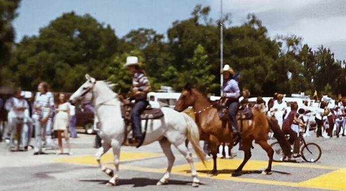 Mayor’s Message | Scotts Valley Celebrates Our 60th Birthday! Horses in parade