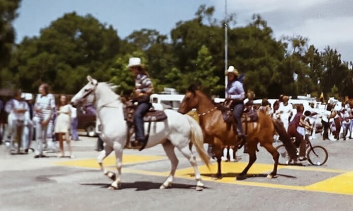 Horses in parade