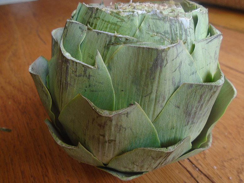 artichoke