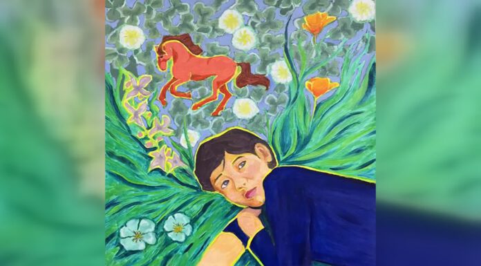 San Lorenzo Valley High graduate earns congressional art honor Artwork by Finn Maxwell