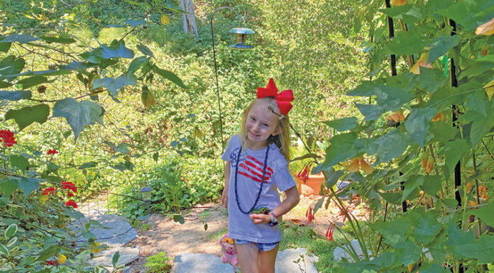 The Mountain Gardener | Kids and Pets in the Garden Kid in garden