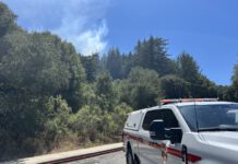 Arrest made in Scotts Valley fires fire