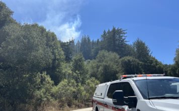 Arrest made in Scotts Valley fires fire