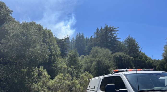 Arrest made in Scotts Valley fires fire