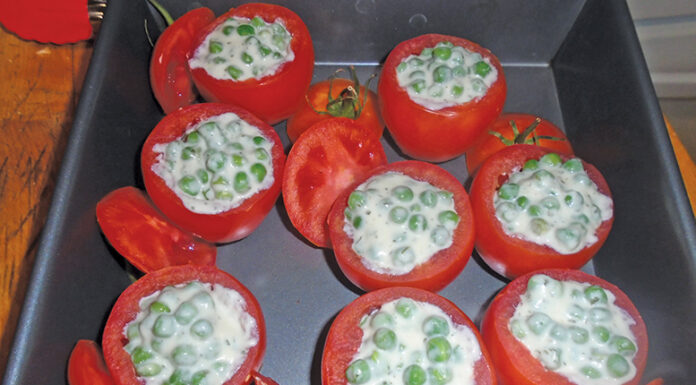 Plain Talk About Food | I Wish I Was 18 Again Tomatoes
