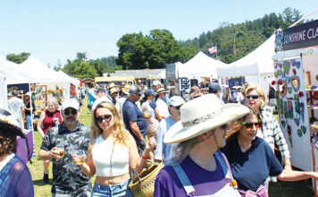 Scotts Valley festival evolves under new chamber leader Scotts Valley Art, Wine & Beer Festival