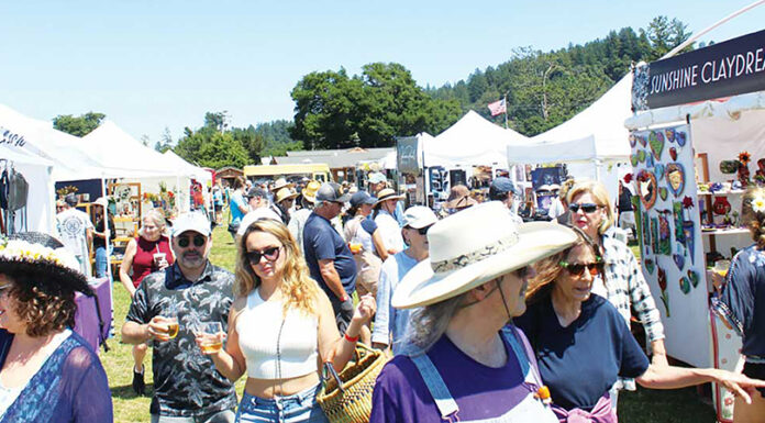 Scotts Valley festival evolves under new chamber leader Scotts Valley Art, Wine & Beer Festival